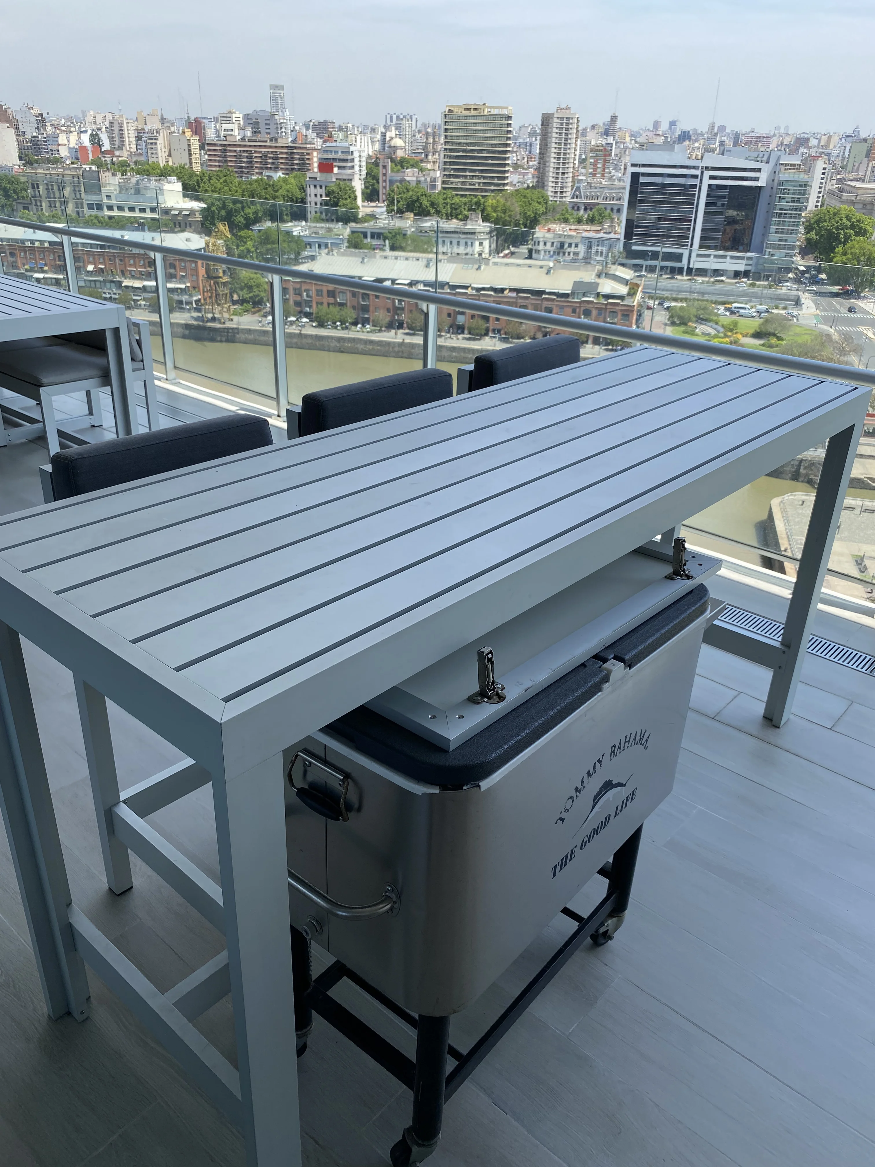 The profile view of three majestic brown horses