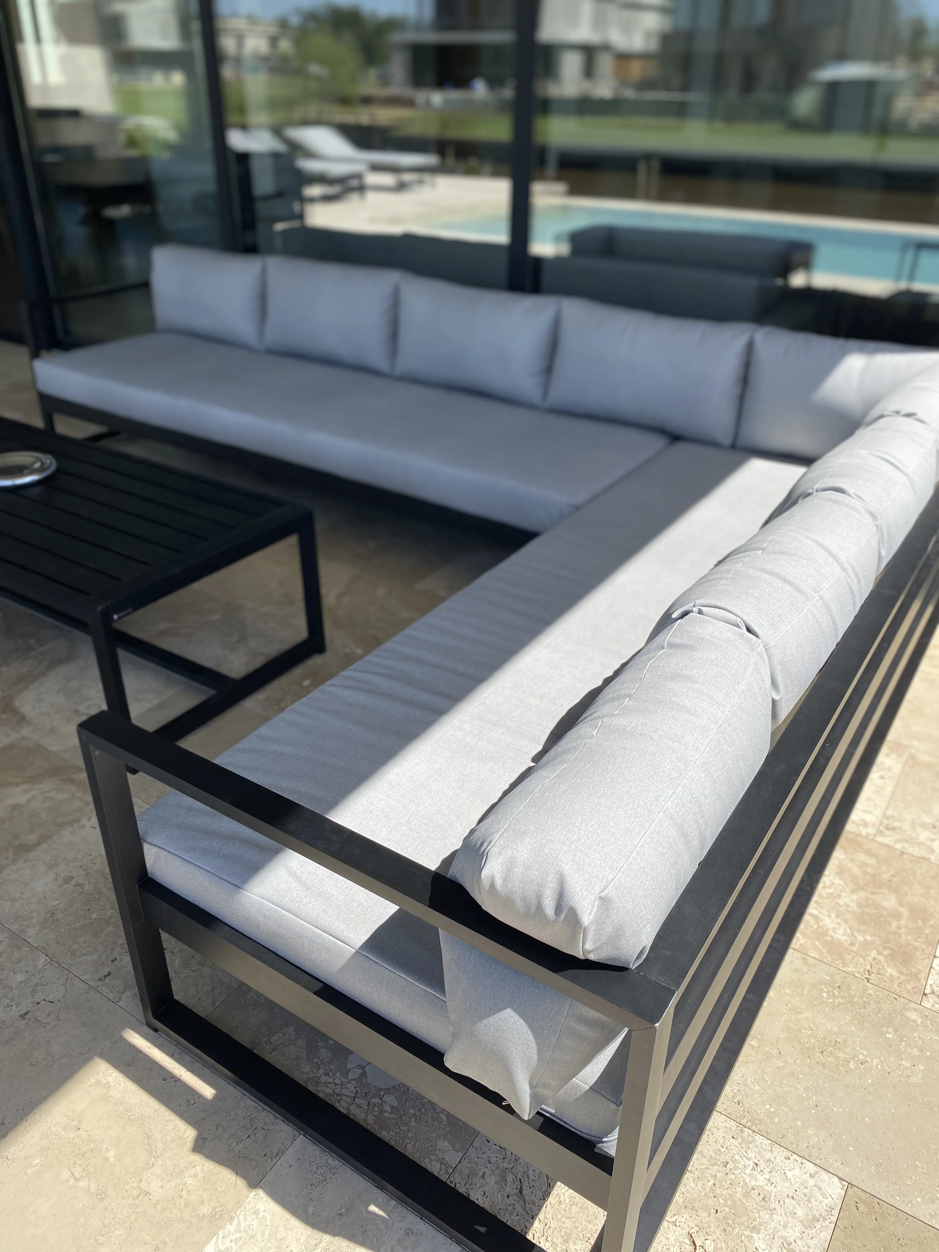 The profile view of three majestic brown horses